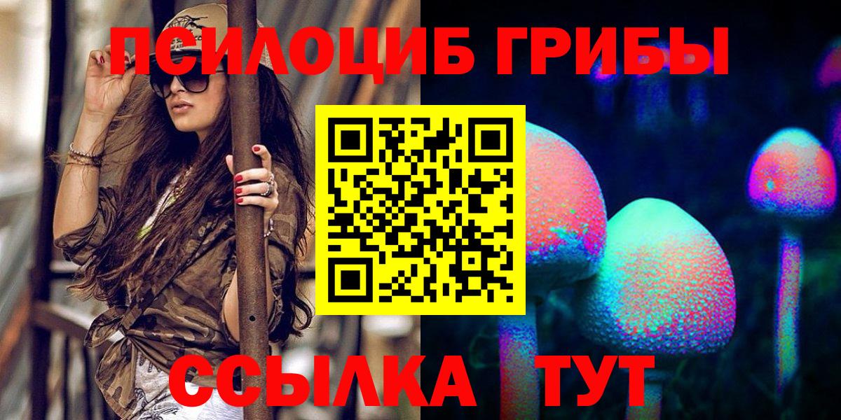 Галлюциногенные грибы прущие грибы  Вход с VPN  Будённовск 